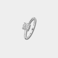 ANILLO | Material